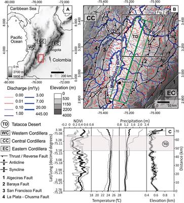 Late Quaternary Drainage Rearrangement Prevents the Vegetation Development in the La Tatacoa Intermontane Basin of the Colombian Andes